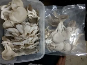 Fresh Oyster Mushroom