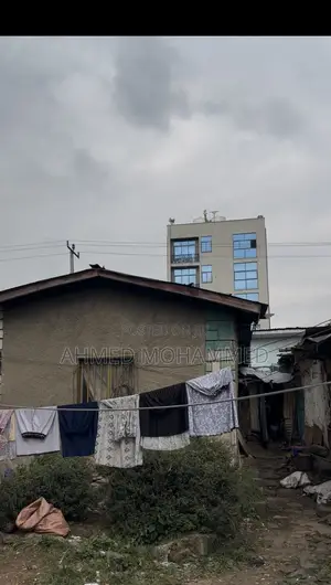 Photo - Lideta Lay 600 Care Be Konjo Waga