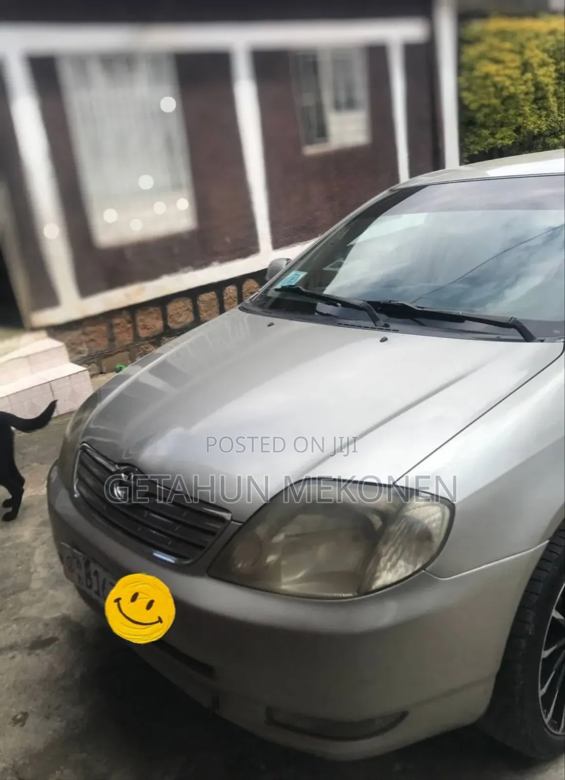 Toyota Corolla 2003 Gray