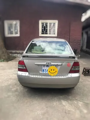 Toyota Corolla 2003 Gray