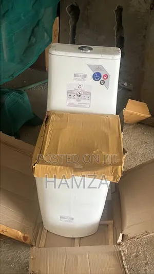 Golden Dragon With Hand Wash