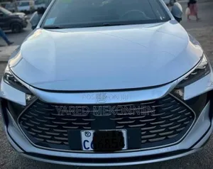 Photo - New BYD Tang DM-i 2024 White