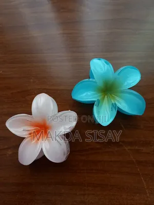 Photo - Hair Claw Clip