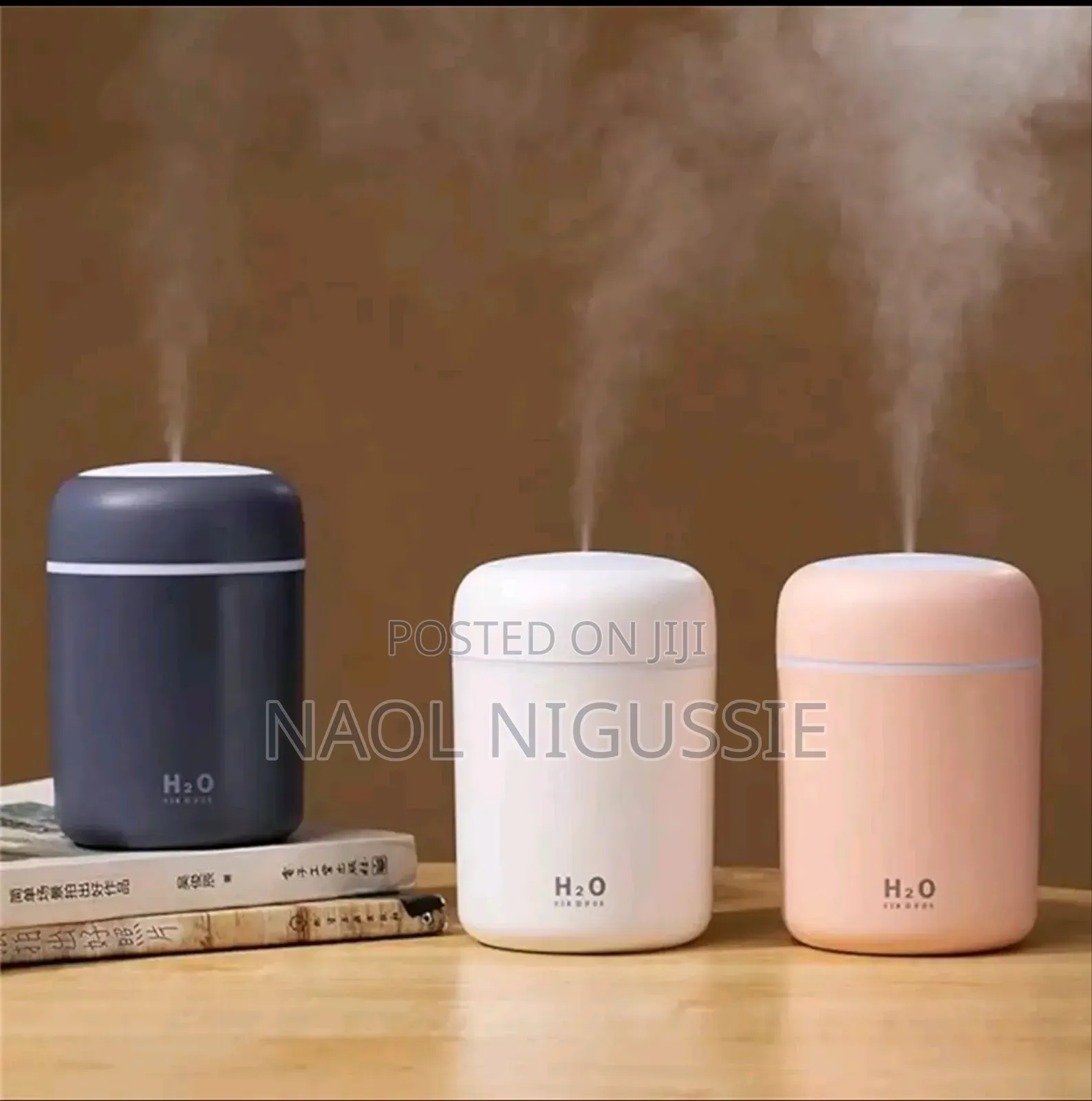 Humidifier 300ml