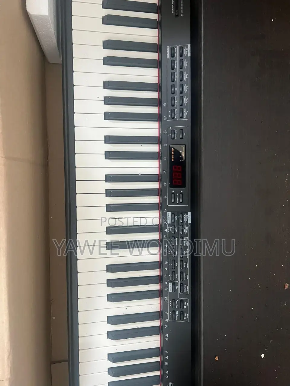 Young Chang Digital Piano