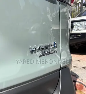 New Toyota RAV4 2024 Green