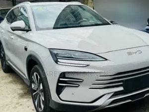 Photo - BYD Song Plus 2025 Gray