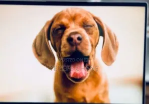 New Laptop Lenovo IdeaPad 1 16GB AMD Ryzen 7 SSD 512GB