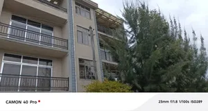 Photo - Furnished 6bdrm Townhouse/Terrace in Akaky Kaliti for sale