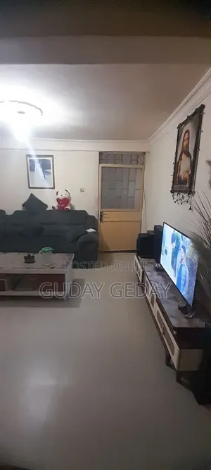 Furnished 2bdrm Condo in የመንግሥት, Oromia-Finfinne for sale