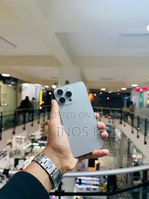 Apple iPhone 15 Pro Max 256 GB Silver