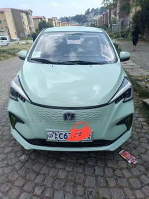Photo - Changan BenBen E-Star 2023 Green
