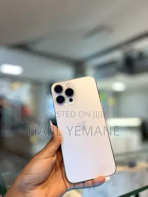 New Apple iPhone 13 Pro Max 256 GB Silver