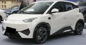 Photo - New BYD Seagull 2025 White