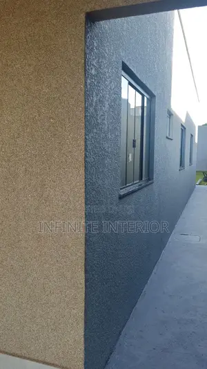 Exterior Finishing Works Textures Painting