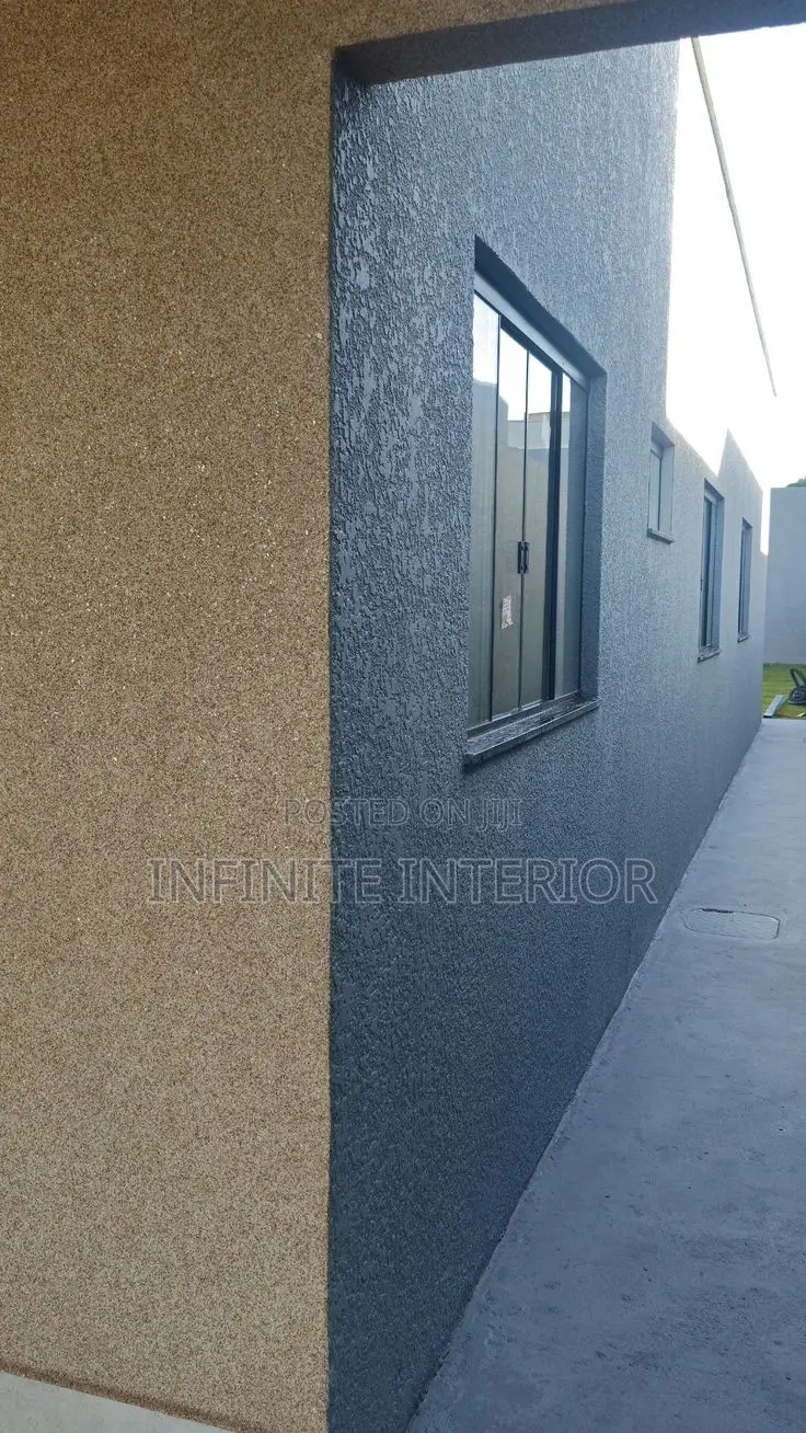 Exterior Finishing Works Textures Painting