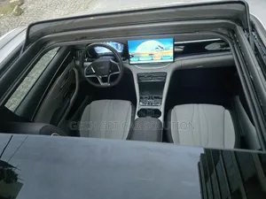 Photo - BYD Song Plus 2025 Beige