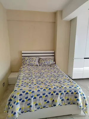 Furnished 1bdrm Apartment in Bole for rent