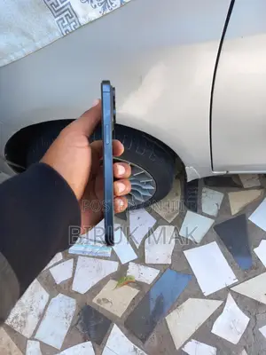 Apple iPhone 15 Pro Max 256 GB Black