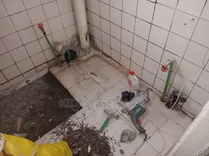 Photo - Ceramic and Sanitary Work