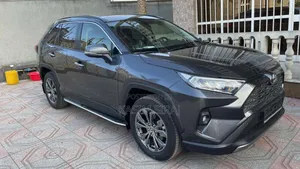 Toyota RAV4 Adventure 2022 Gray