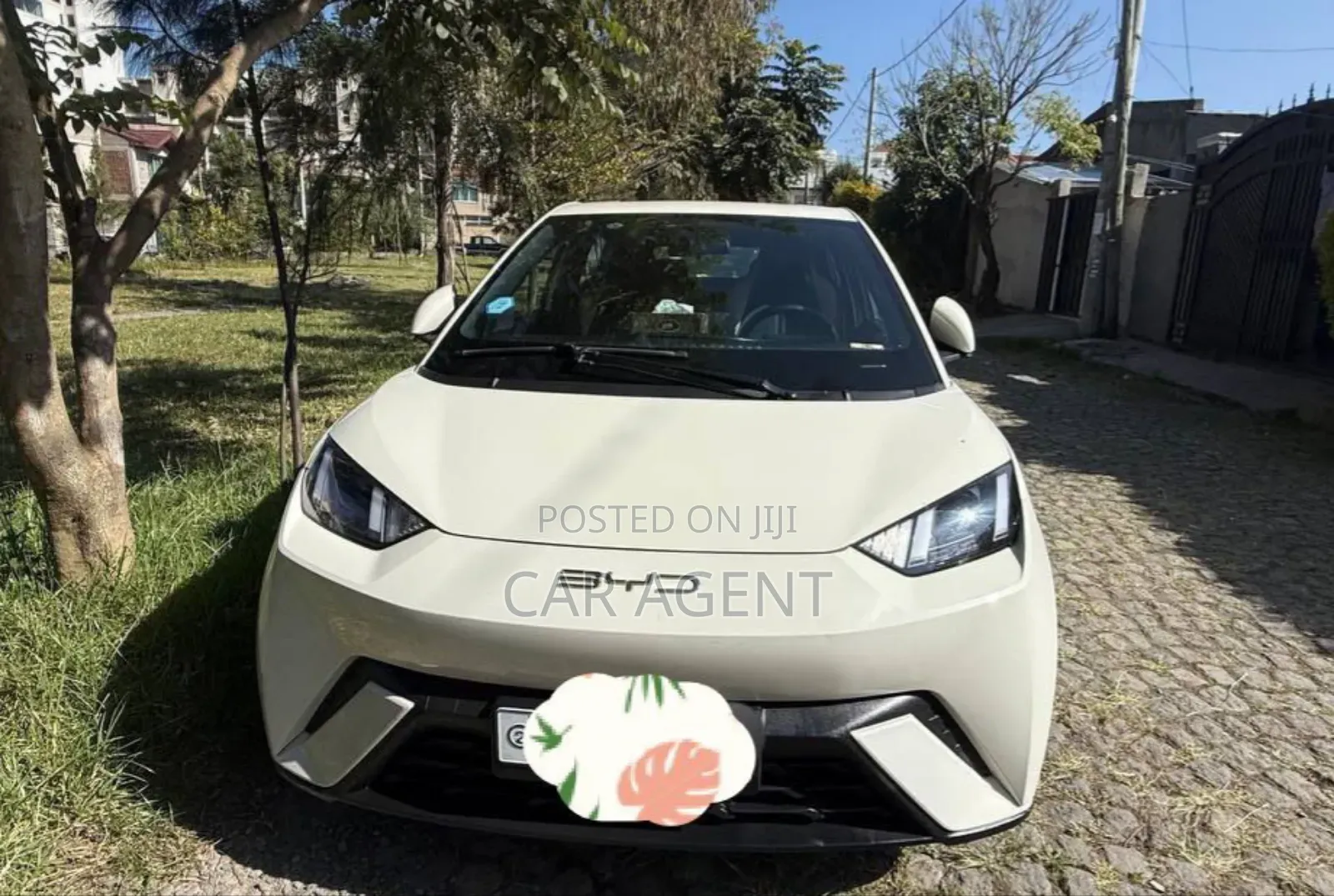 BYD Seagull 2025 Gray