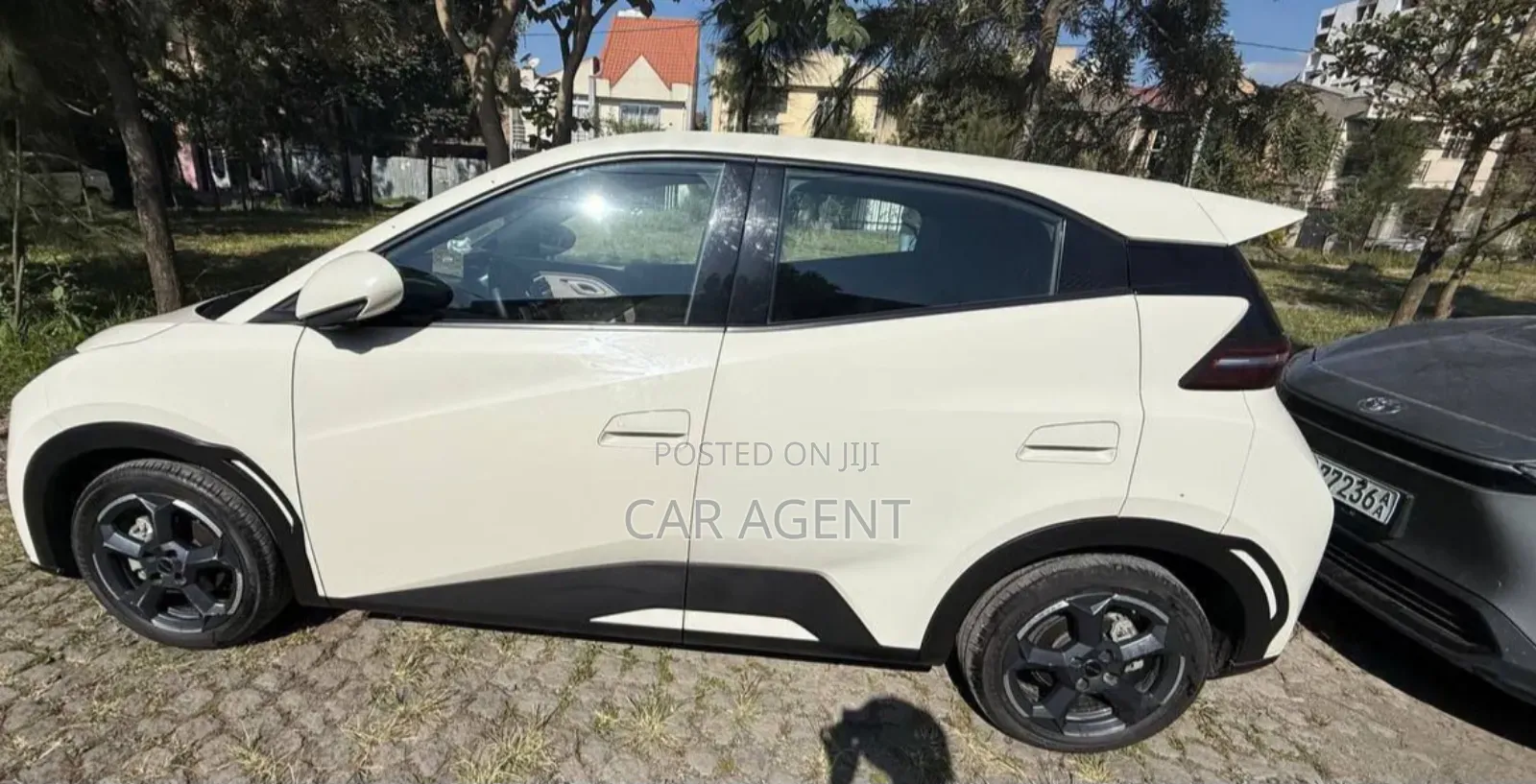 BYD Seagull 2025 Gray