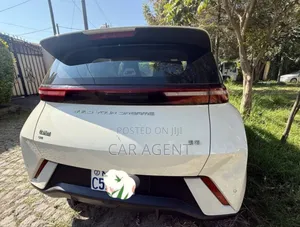 BYD Seagull 2025 Gray