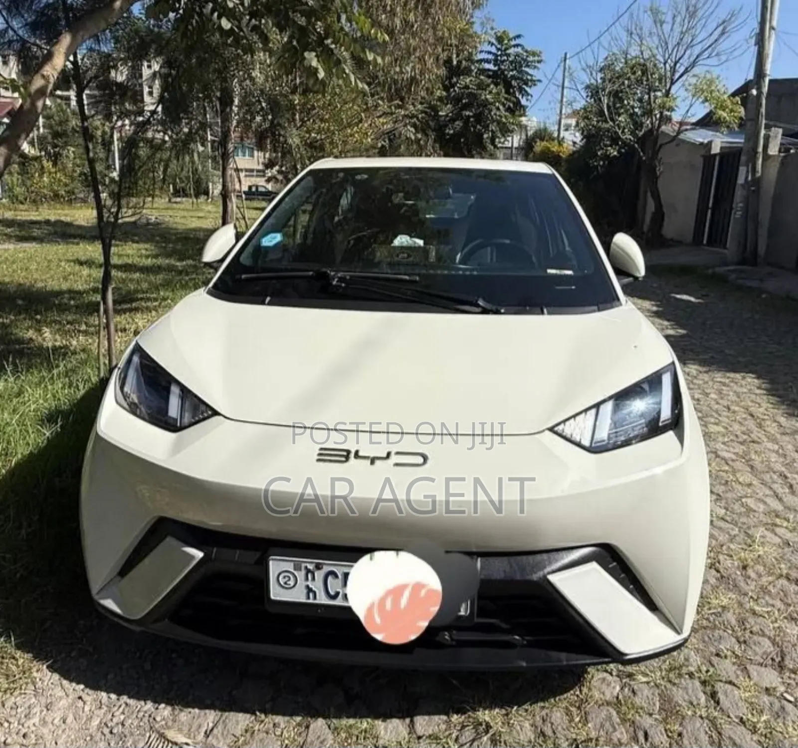 BYD Seagull 2025 Gray