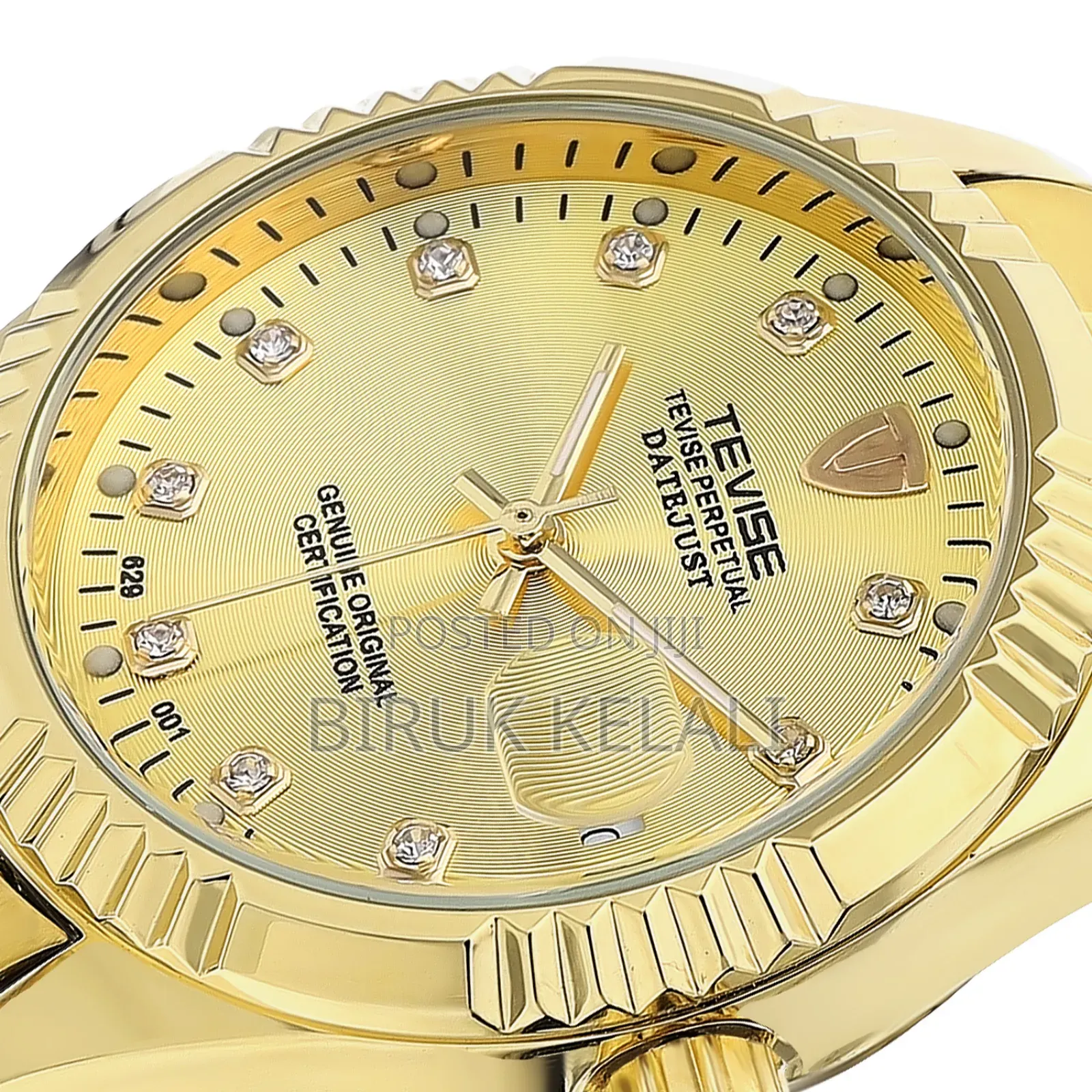 Tevise Automatic Watch