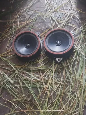 የመኪና ስፒከር የፋብሪካ