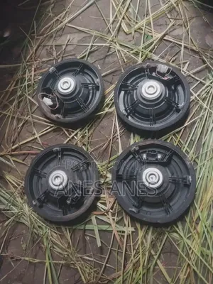 የመኪና ስፒከር የፋብሪካ