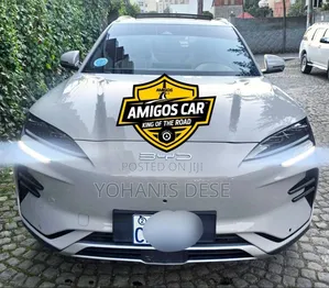 Photo - BYD Song Plus 2024 Gray