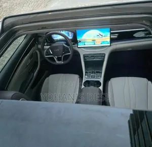 BYD Song Plus 2024 Gray