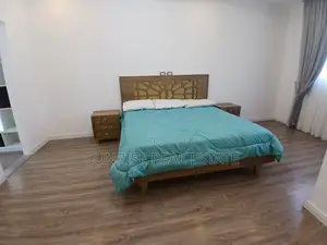 Furnished 3bdrm Apartment in Bole for rent