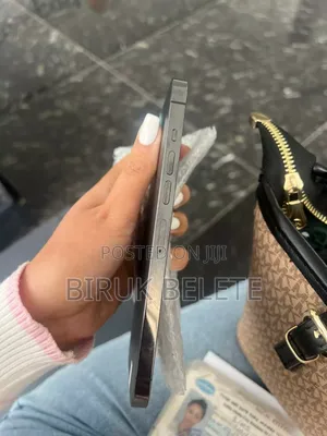 Apple iPhone 13 Pro Max 256 GB Silver