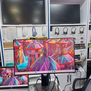 Dell 24 Inch Monitor