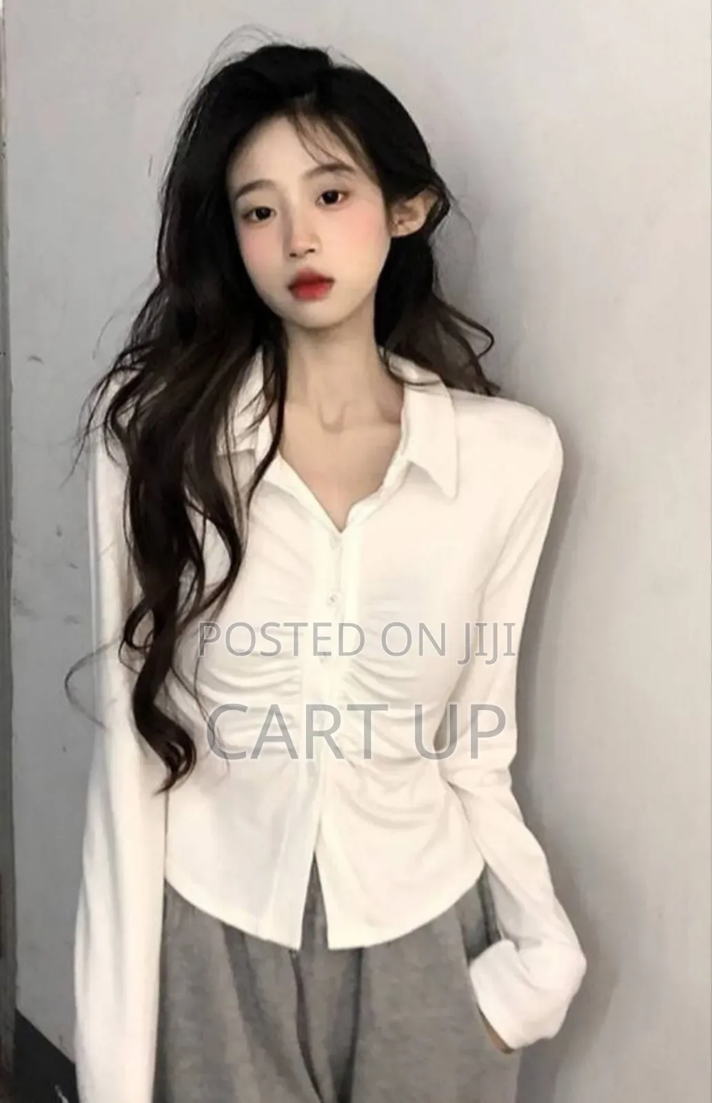 Women's Long Sleeve Thin Blouse Shirt