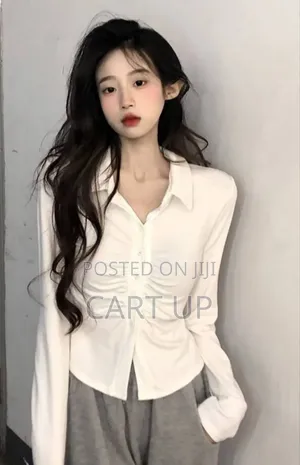 Photo - Women's Long Sleeve Thin Blouse Shirt