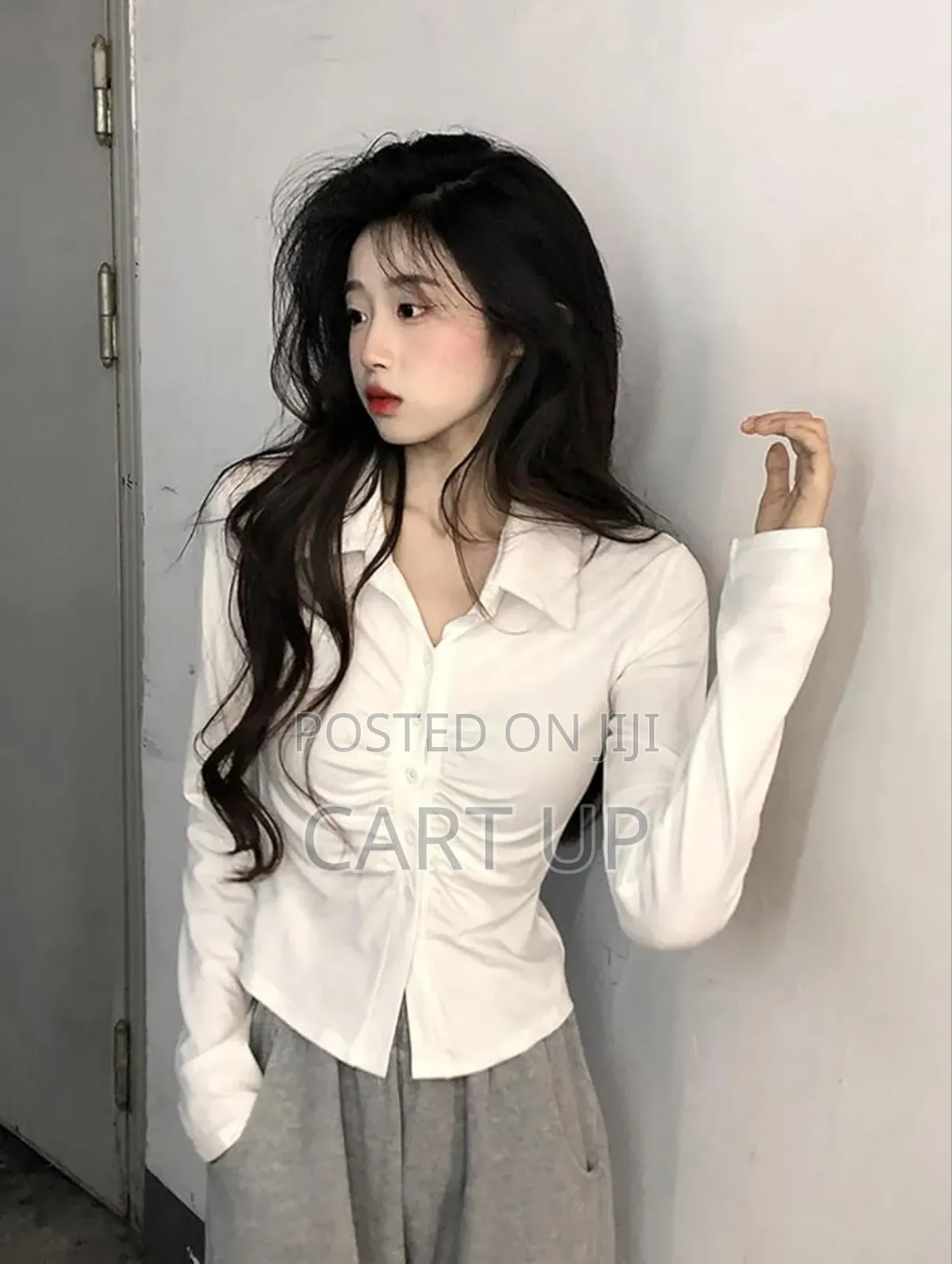 Women's Long Sleeve Thin Blouse Shirt