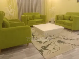 Salon Furnitures / ሙሉ የሳሎን ፈርኒቸር