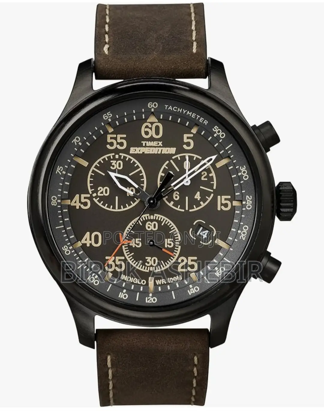 Timex Men's Watch