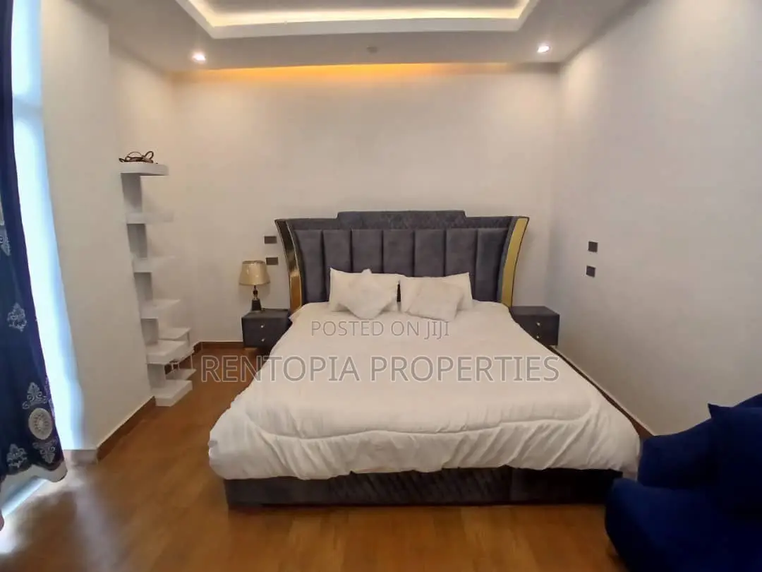 Furnished 3bdrm Apartment in Bole for rent