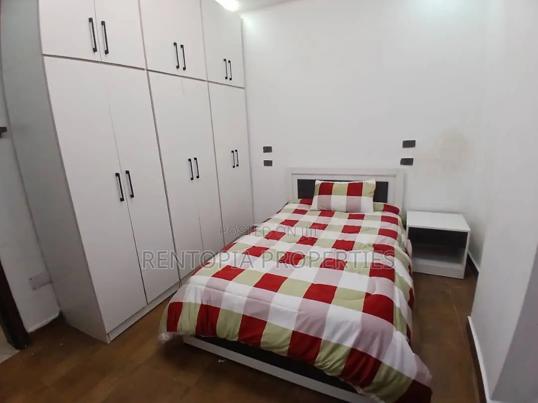 Furnished 3bdrm Apartment in Bole for rent