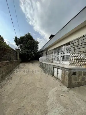 Photo - 3bdrm Villa in Bole for rent