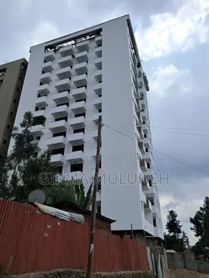 3bdrm Apartment in አልሚ, Addis Ketema for sale