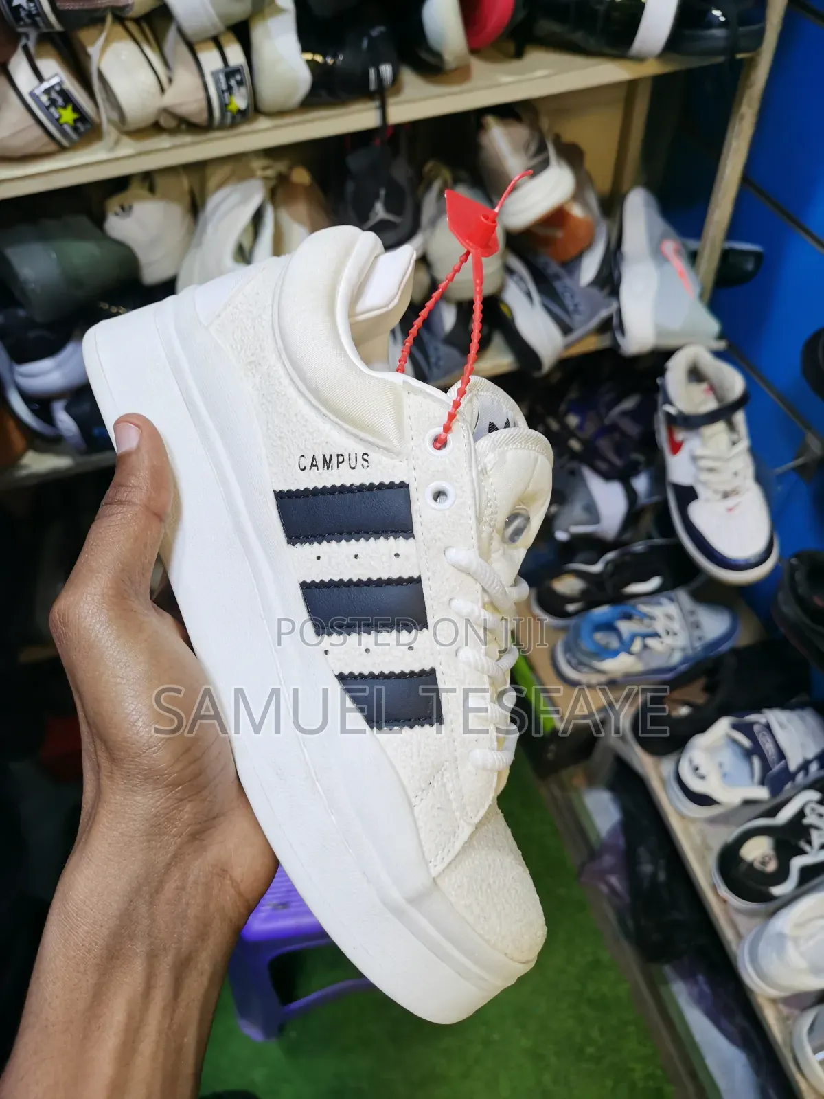 Adidas Campus X Bad Bunny