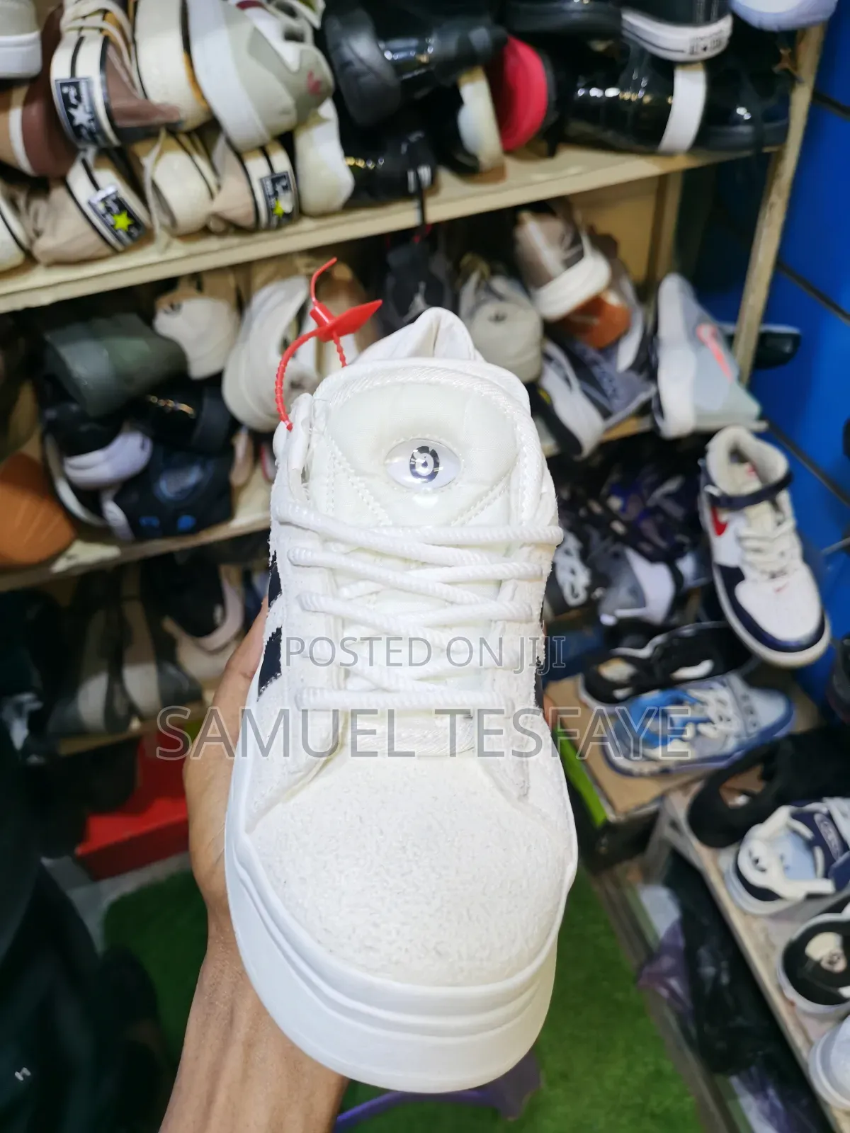 Adidas Campus X Bad Bunny