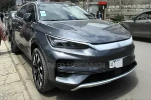 Photo - BYD Tang EV 2024 Gray