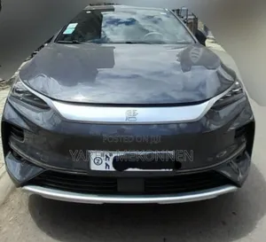 BYD Tang EV 2024 Gray